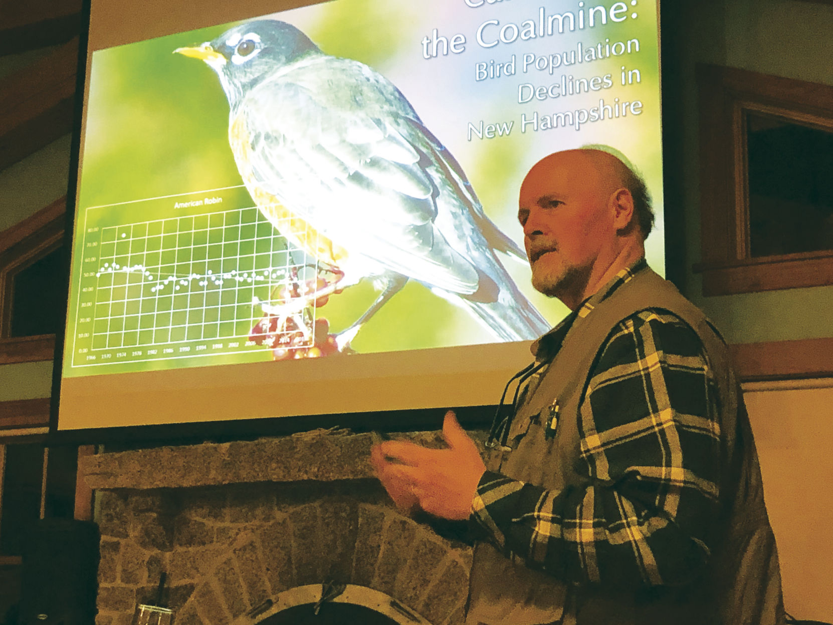 Where have all the birds gone?